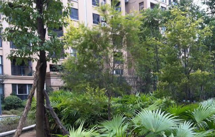 必发集团app下载装置(中国游)官网